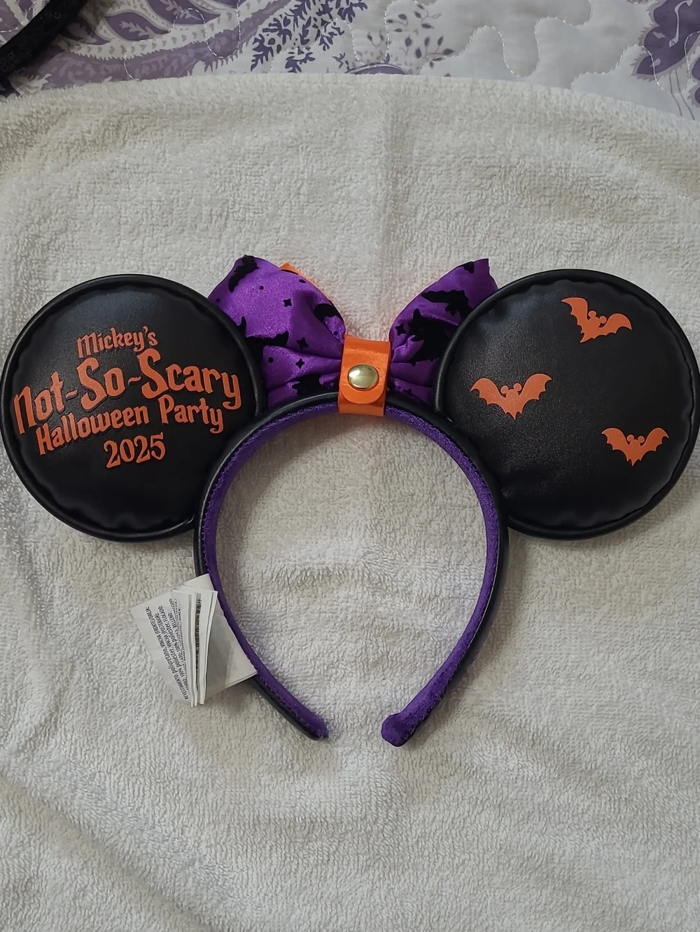 Disney World from 2025